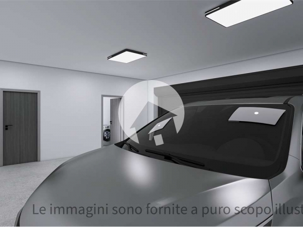 Alternative title